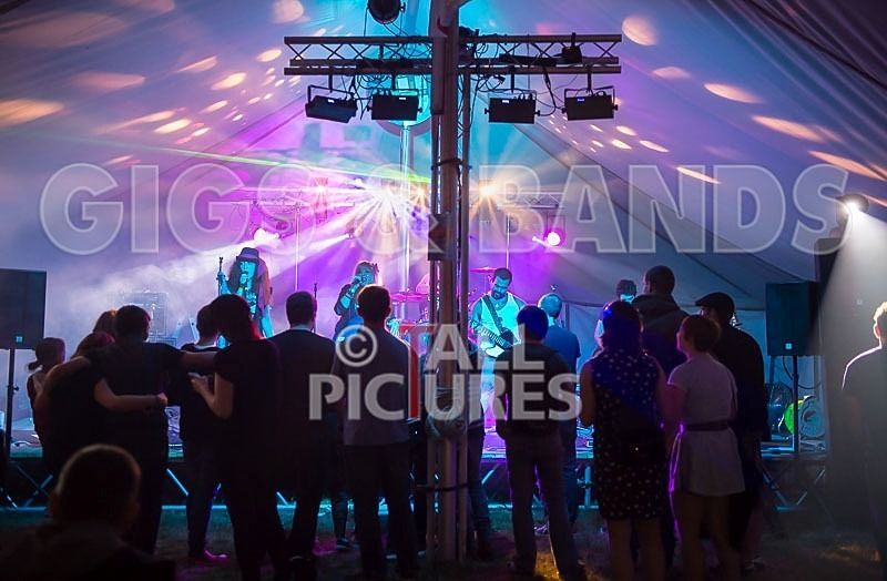 Static Alice-39 - STATIC ALICE