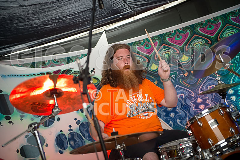 Honest Crooks-31 - HONEST CROOKS