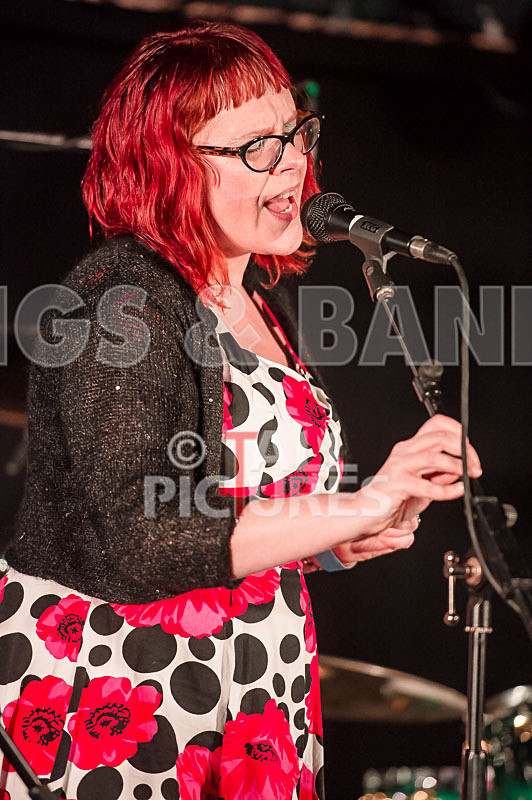 Blue Mountains-21 - BLUE MOUNTAINS