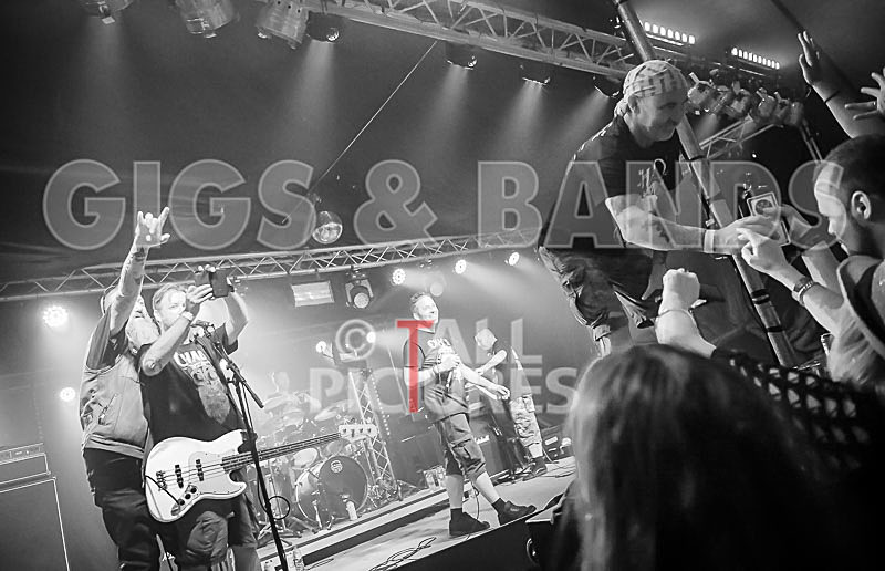 Spunge-145 - [spunge]