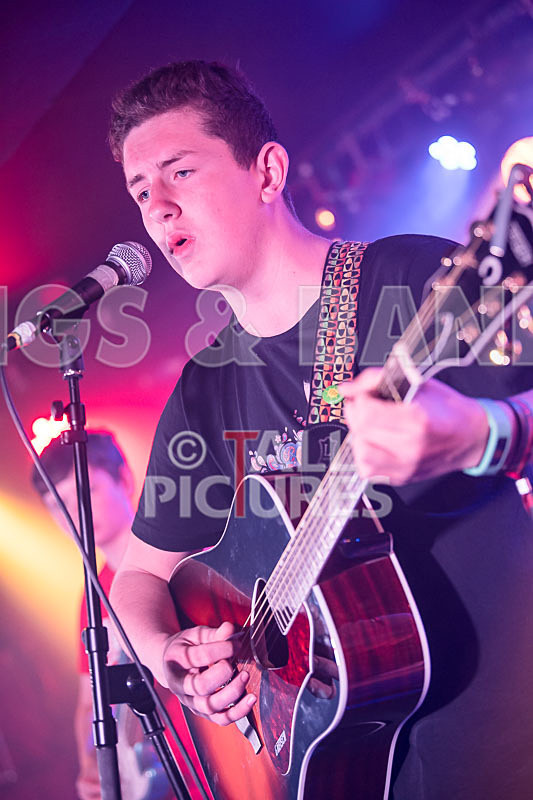 Purple Paradox-1 - PURPLE PARADOX