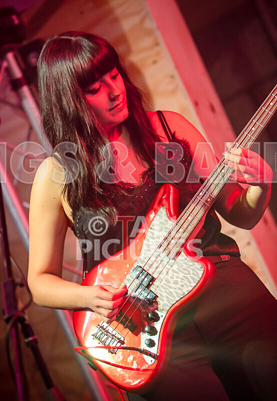 The Tarantulips-11 - THE TARANTULIPS