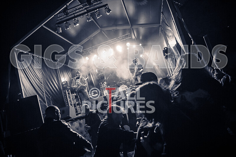 To the Woods-455 - TO THE WOODS