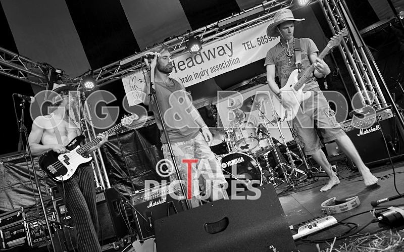 Benny the Moth-6 - BENNY THE MOTH