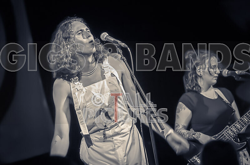 The Pips-16 - THE PIPS