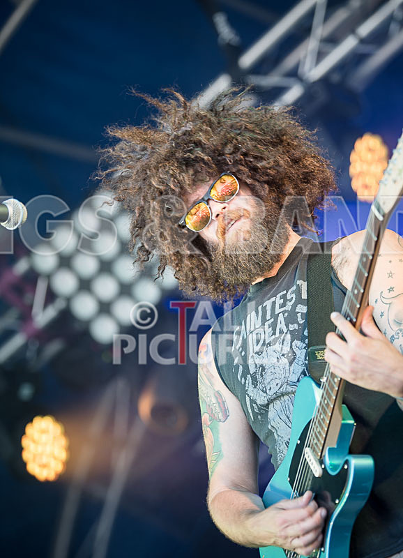 Tree House Fire-31 - TREE HOUSE FIRE