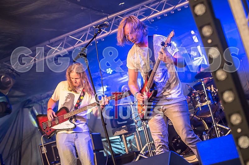 Near Bliss-24 - NEAR BLISS