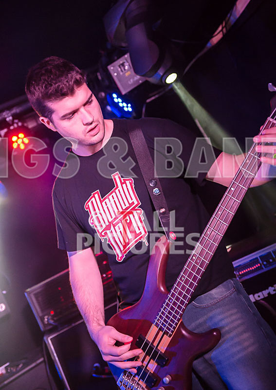 Demise of Sanity-74 - DEMISE OF SANITY