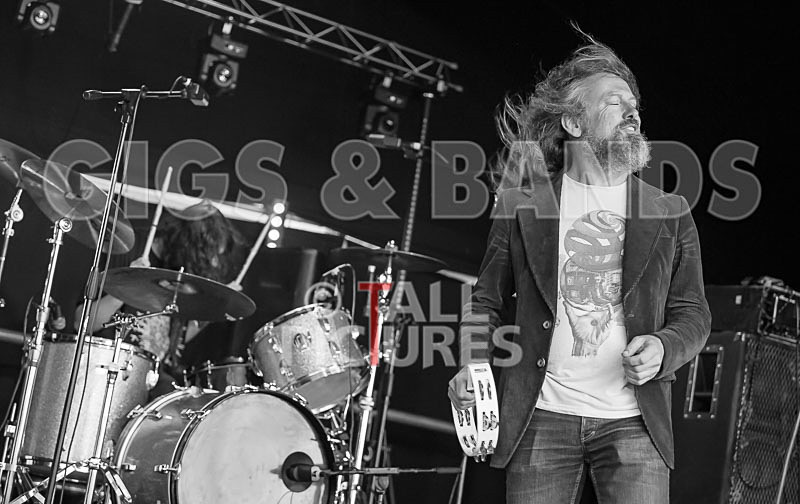 Rat Salad-22 - RAT SALAD