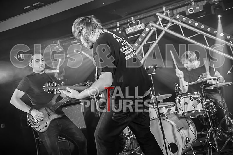 To the Woods-220 - TO THE WOODS