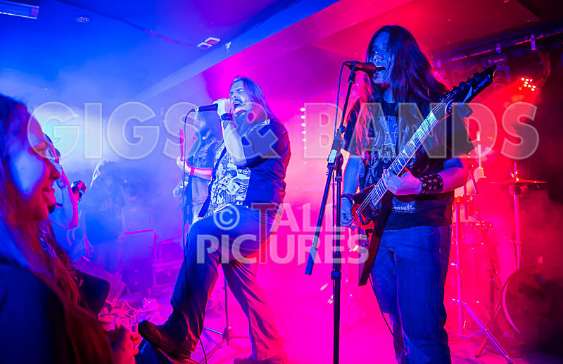 Stone Em All-179 - STONE EM ALL