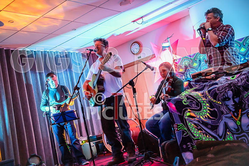 Seigneur Hedge Veg-19 - THE PEACE TENT STAGE