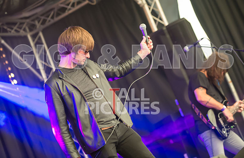 The Cryptics-79 - THE CRYPTICS