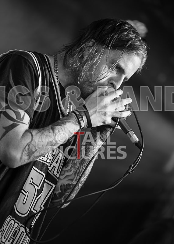 From Darkness-16 - FROM DARKNESS