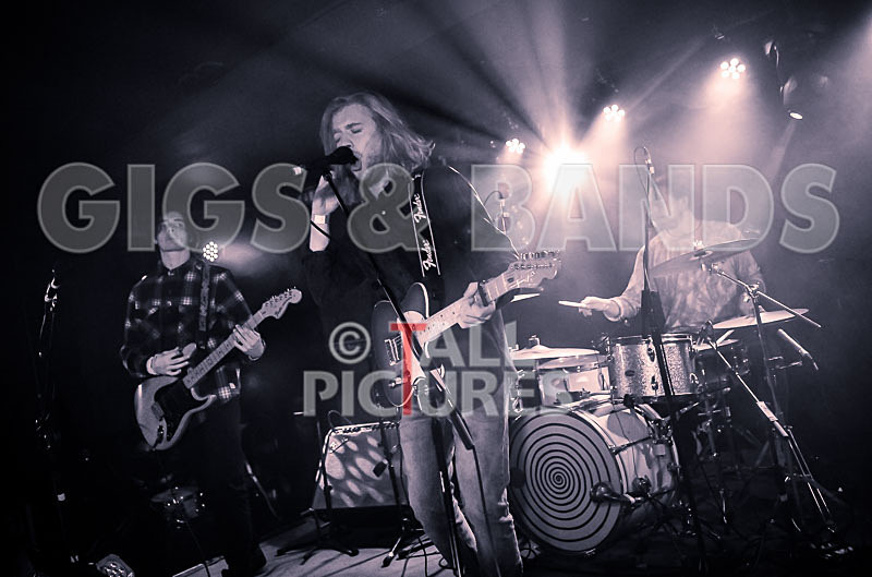 Tadhg Daly-63 - TADHG DALY