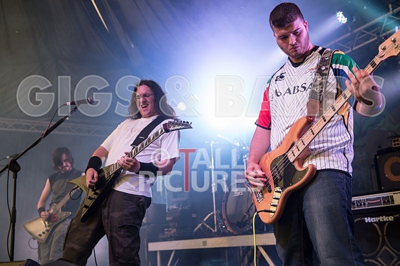 Chaos 2013_Demise of Sanity-23 - DEMISE OF SANITY