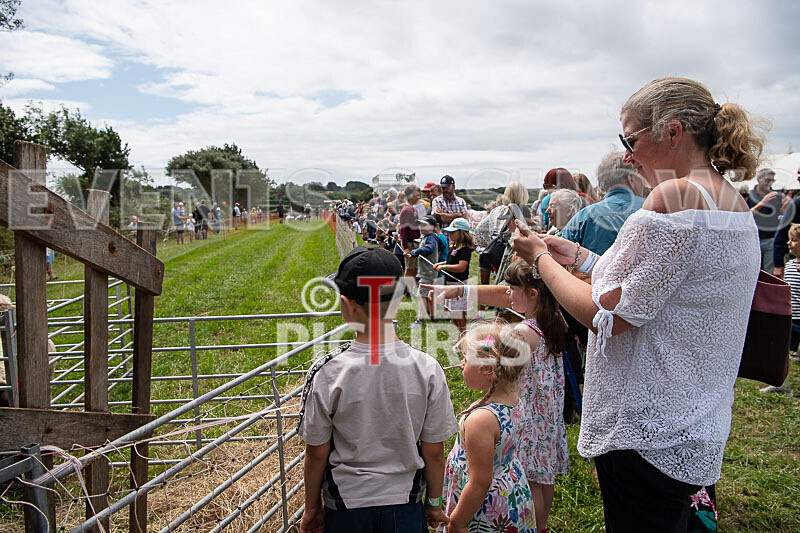 Guernsey Agricultural Show 2021-91 - GUERNSEY AGRICULTURAL SHOW 2021
