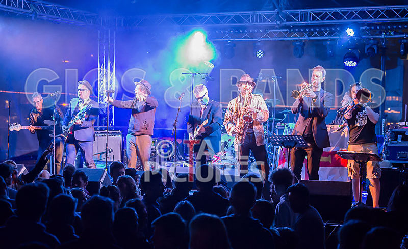 Sons of the Desert-253 - SONS OF THE DESERT