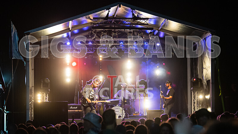 To the Woods-456 - TO THE WOODS