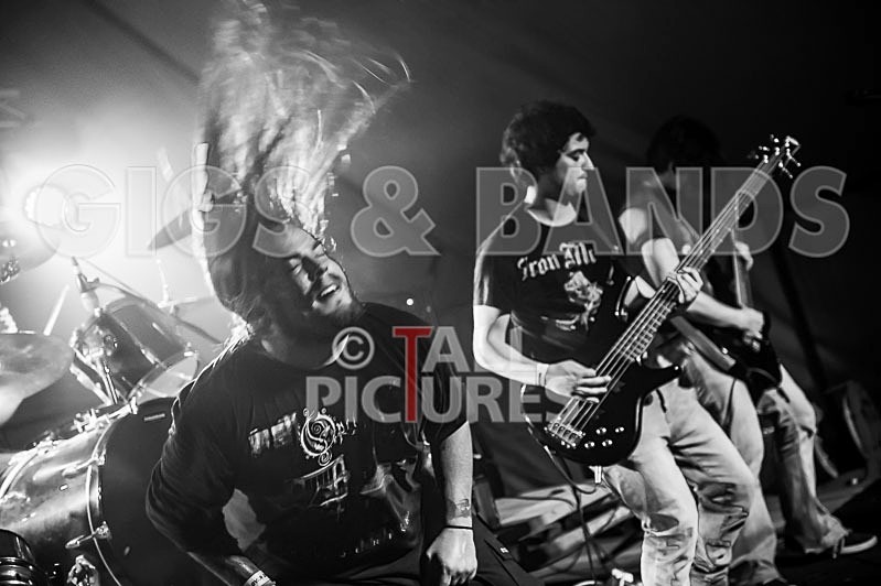 Stone Em All-79 - STONE EM ALL