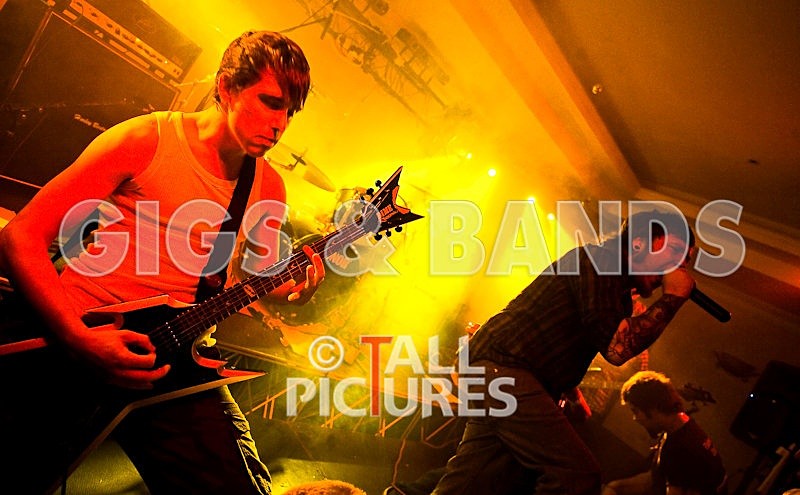 Brutus Stonefist-91 - BRUTUS STONEFIST at RoA-5