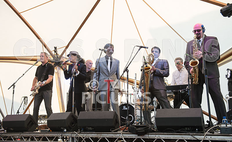 The Selecter-98 - THE SELECTER