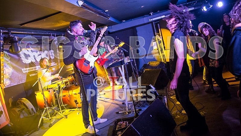 Harlequin Knights-27 - HARLEQUIN KNIGHTS