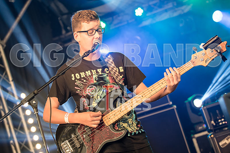 The Violet Diversion-4 - THE VIOLET DIVERSION