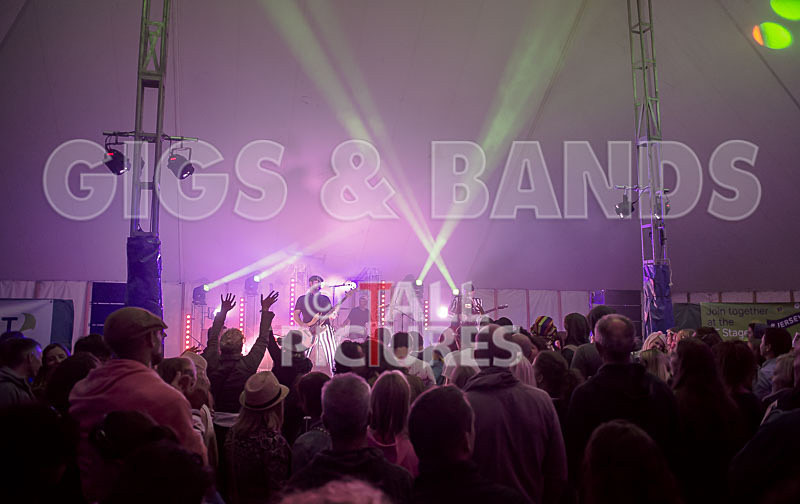 The Smooth Hounds-7 - THE SMOOTH HOUNDS