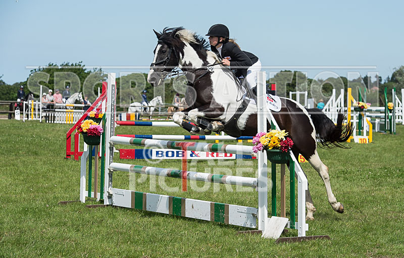 Showjumping_Derby Show_2014-8 - BRITISH SHOWJUMPING GUERNSEY DERBY SHOW 2014