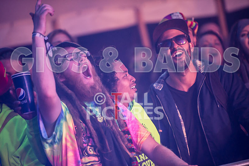 Jersey Live-2015_Scene-140 - JERSEY LIVE 2015 - THE ATMOSPHERE