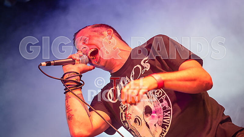 Spunge-123 - [spunge]