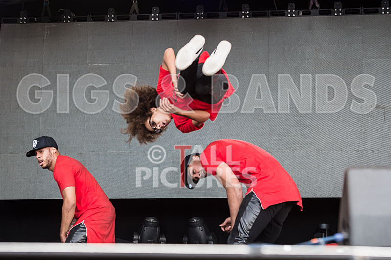 Diversity-31 - DIVERSITY