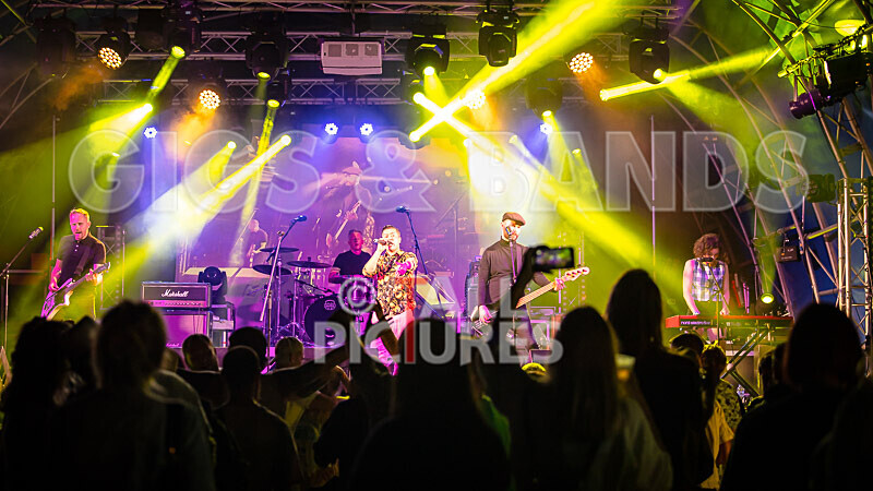 The King Blues-1 - THE KING BLUES