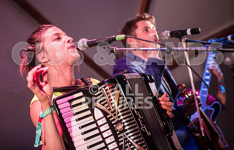 Molotov Jukebox-13 - MOLOTOV JUKEBOX