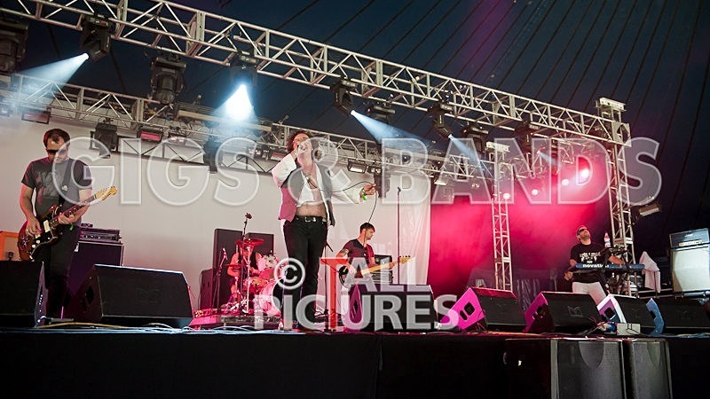 Gay Army-175 - GAY ARMY