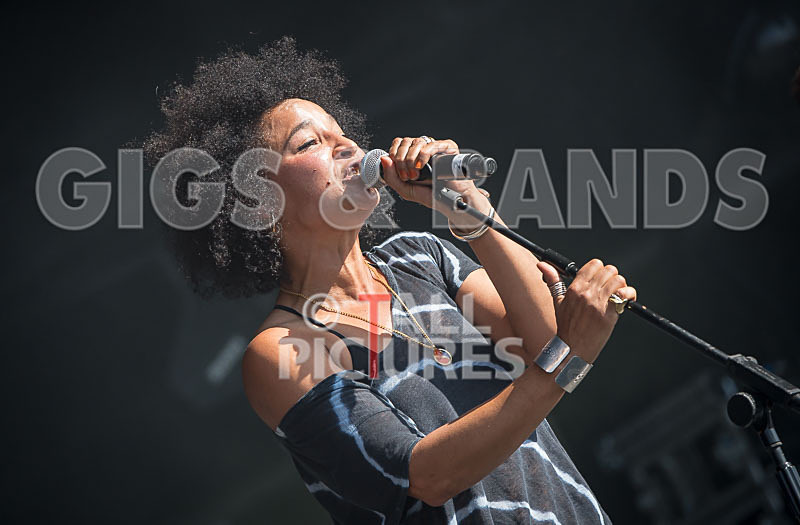 Stereo MCs-25 - STEREO MC's