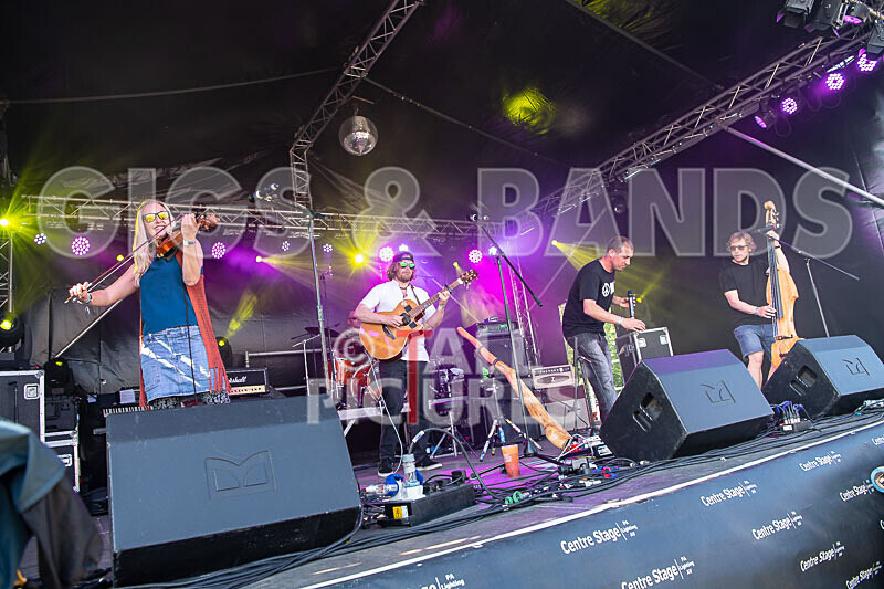 Buffalo Huddleston-733 - BUFFALO HUDDLESTON