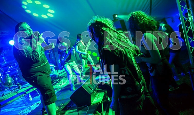 Stone Em All-54 - STONE EM ALL