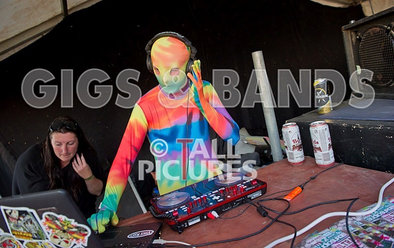 Vale Earth Fair 2011-3 - VALE EARTH FAIR 2011 - SCENE