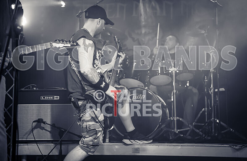 Maiden Guernsey-266 - MAIDEN GUERNSEY