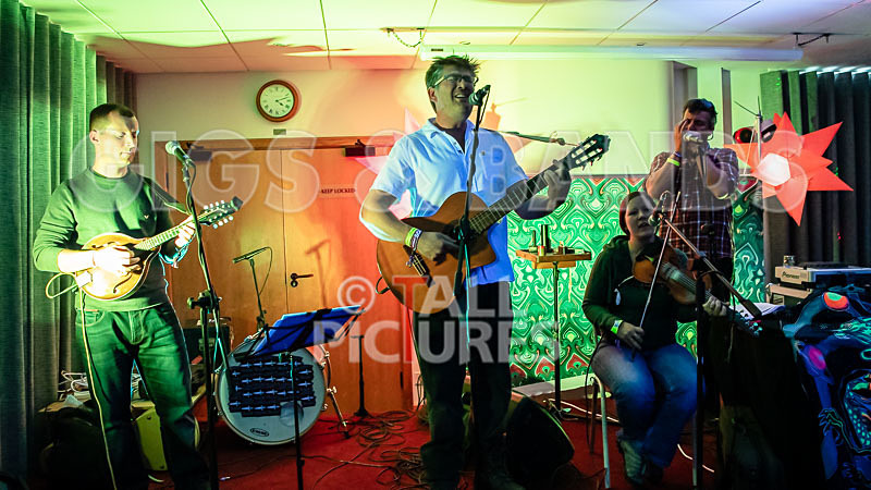 Seigneur Hedge Veg-25 - THE PEACE TENT STAGE