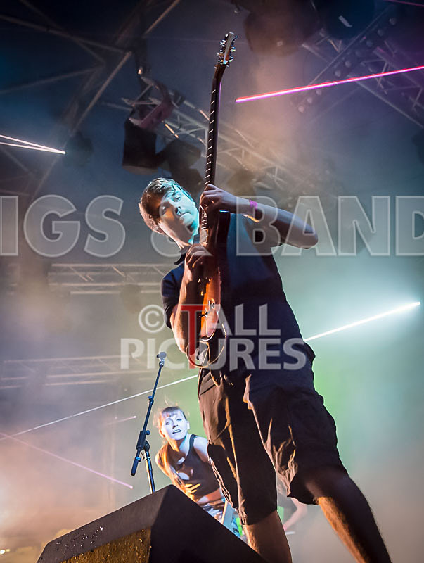 FireFarm-48 - FIREFARM