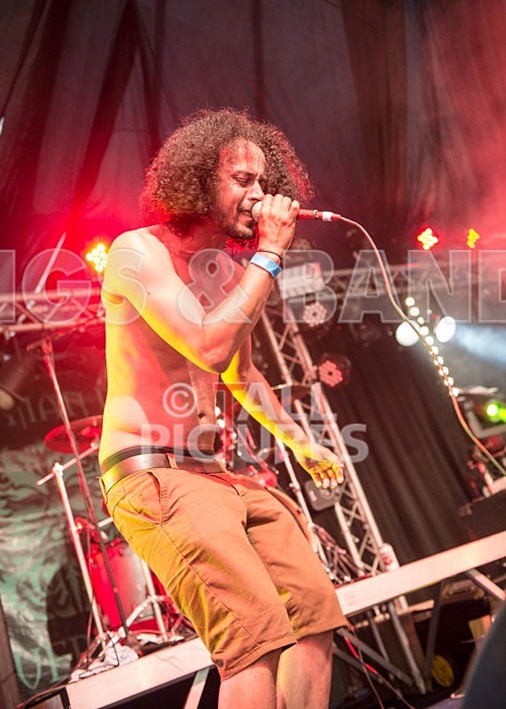 Chaos 2013_Harlequin Knights-7 - HARLEQUIN KNIGHTS