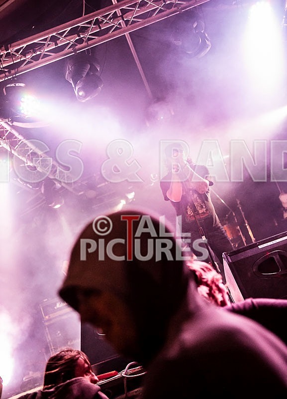 Viking Skull-17 - VIKING SKULL