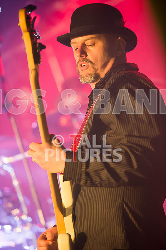 Peppered Ant Legs-182 - PEPPERED ANT LEGS