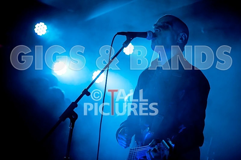 The Wilko Johnson Band-29 - THE WILKO JOHNSON BAND
