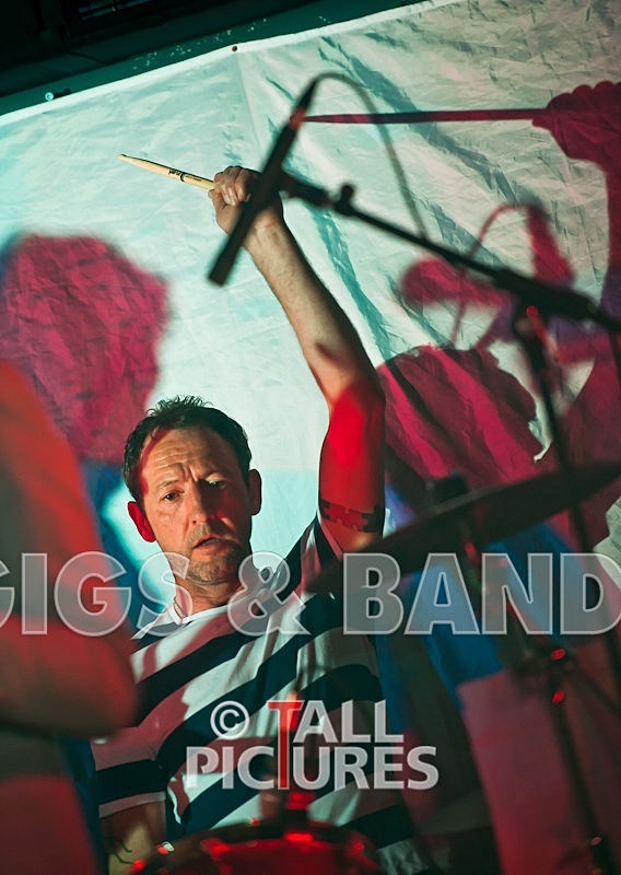 The Cryptics-23 - THE CRYPTICS