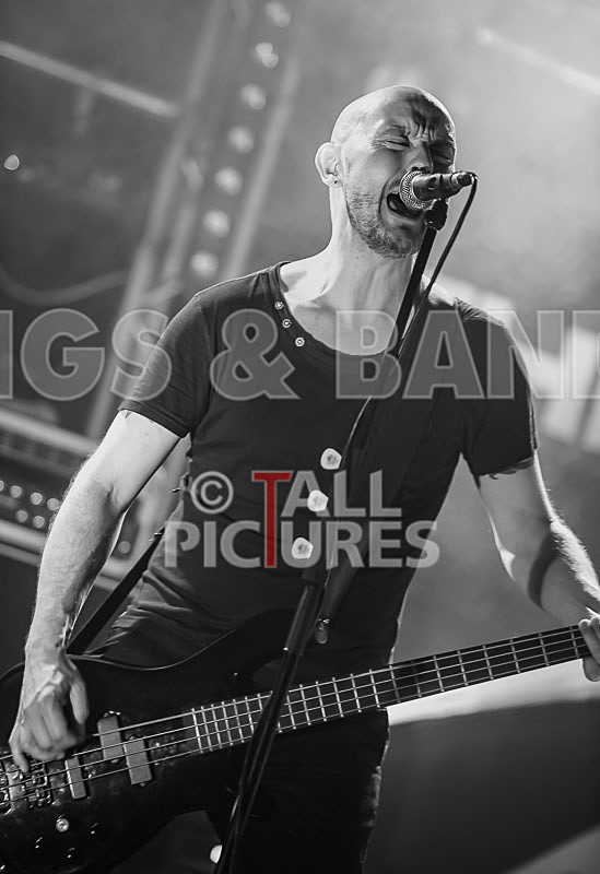 Therapy--49 - THERAPY?