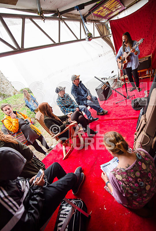 Vale Earth Fair 2018_SCENE-96 - VALE EARTH FAIR 2018_THE SCENE